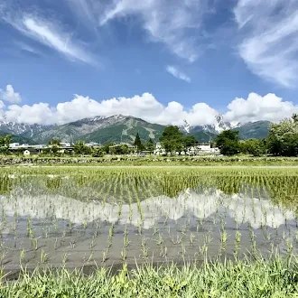 田と山
